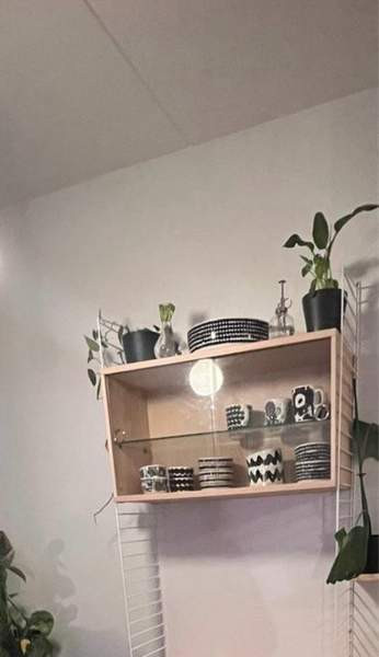 String vitriinikaappi, saarni Эспоо - изображение 1