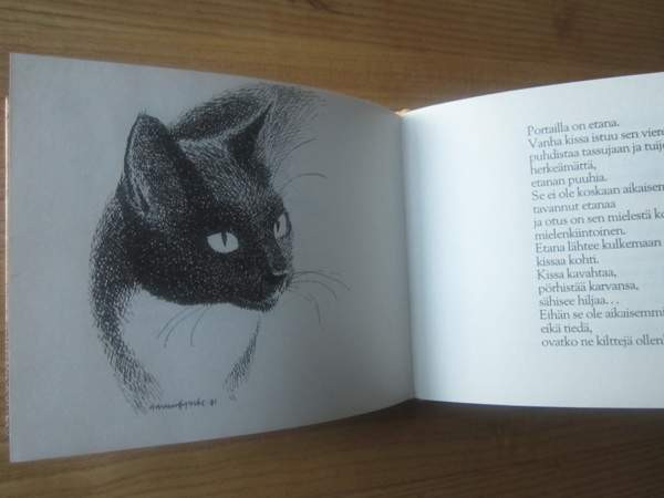 Kissa ja merimies - Tittamari Marttinen Pirkkala – foto 4