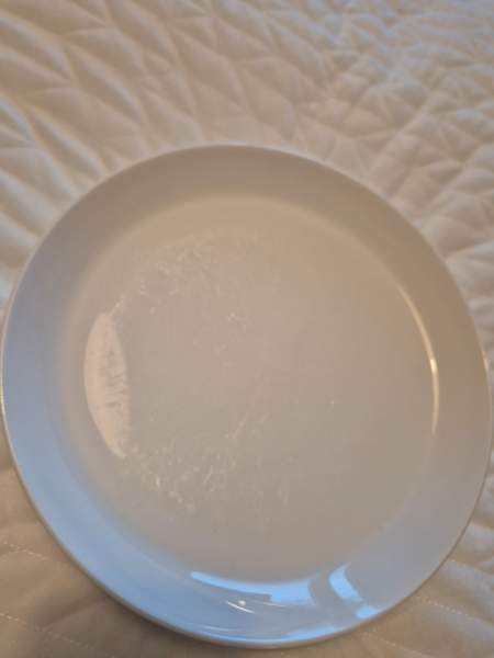 Valkoiset House lautaset Оулу - изображение 4