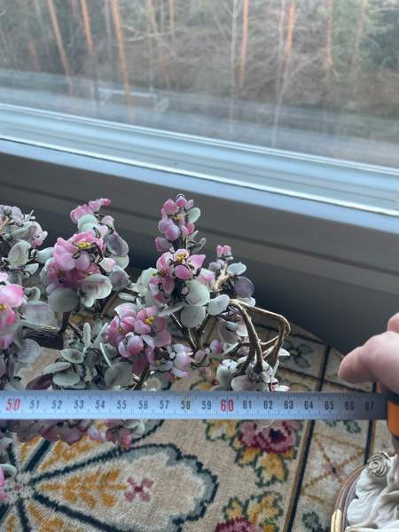 Bonzai lasipuu Espoo – foto 4