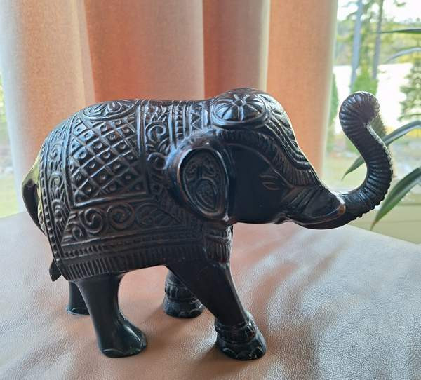 Upeat isohkot koristenorsut erinomaisessa Keuruu – foto 2