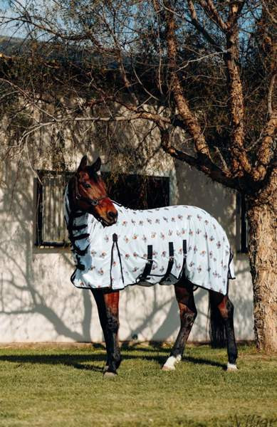 Hz Belly 145cm Lohja - valokuva 1