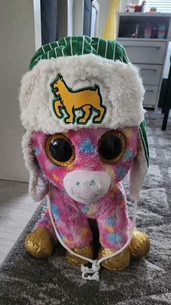 Ilves karvalakit x2 Tuusula - photo 1