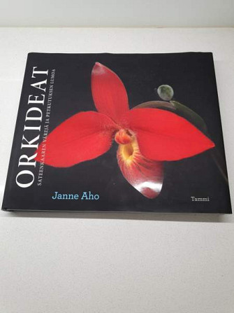 ORKIDEAT Janne Aho Helsinki - valokuva 1