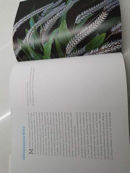 ORKIDEAT Janne Aho Helsinki - valokuva 5