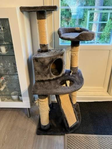 Kissojen raapimispuu / kiipeilypuu Turku - valokuva 1