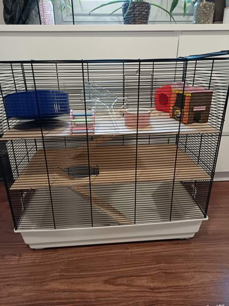 Myydään jyrsijän häkki ja tarvikkeita Liminka - photo 1