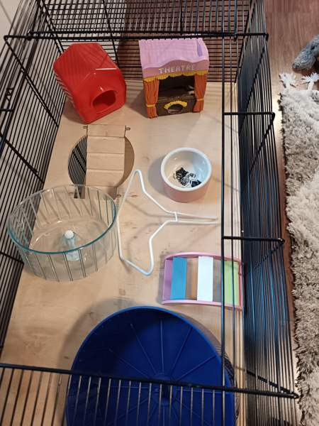 Myydään jyrsijän häkki ja tarvikkeita Liminka - photo 2