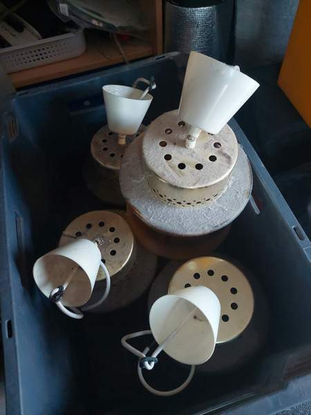 Kattovalaisin Pornainen - valokuva 1