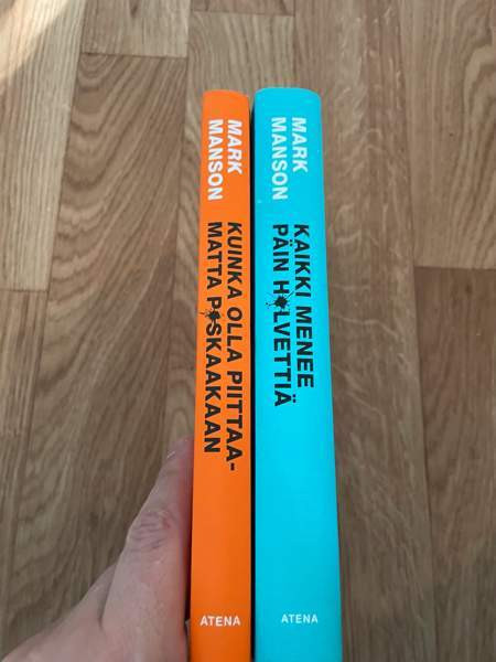 Mark Manson: Kuinka olla piittaamatta p*skaakaan/ Kaikki menee päin h*lvettiä Tampere - photo 2