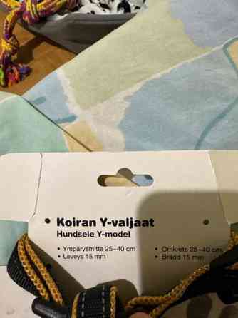 Pieni koiran valjaat Йоэнсуу