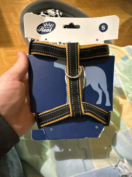 Pieni koiran valjaat Joensuu - valokuva 1