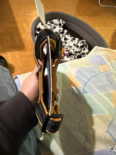 Pieni koiran valjaat Joensuu - valokuva 2