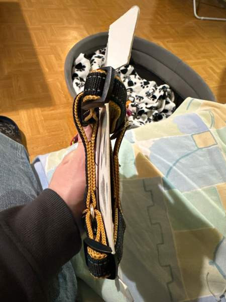 Pieni koiran valjaat Joensuu - valokuva 3