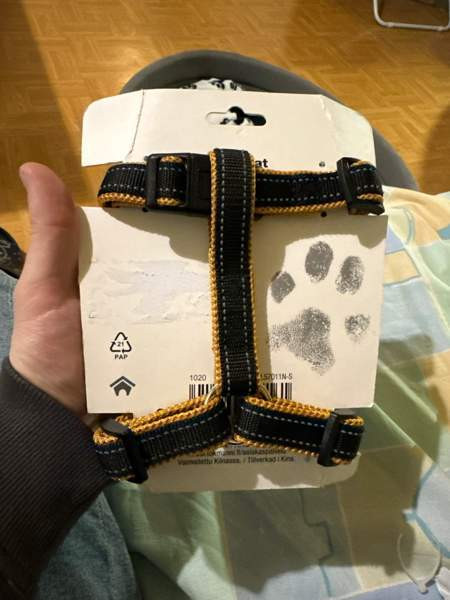 Pieni koiran valjaat Joensuu - valokuva 4