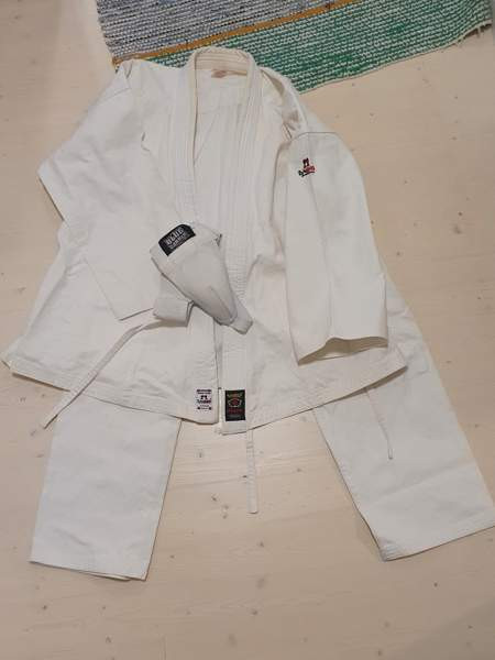 Kamppailulajien asu Сейняйоки - изображение 1