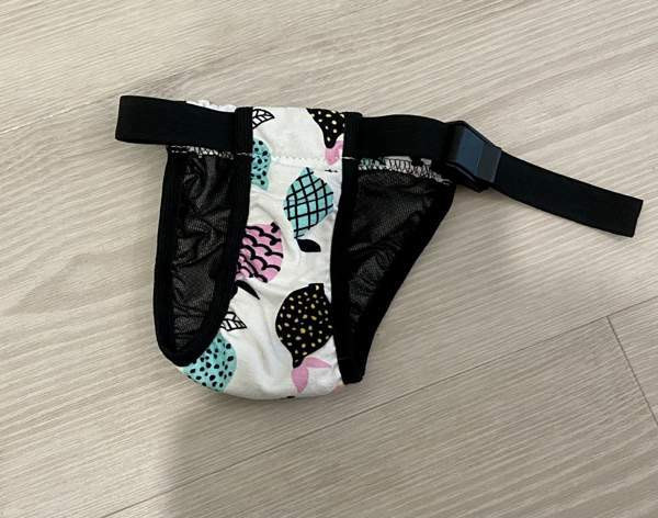 Koiran juoksuhousut Oulu - valokuva 2