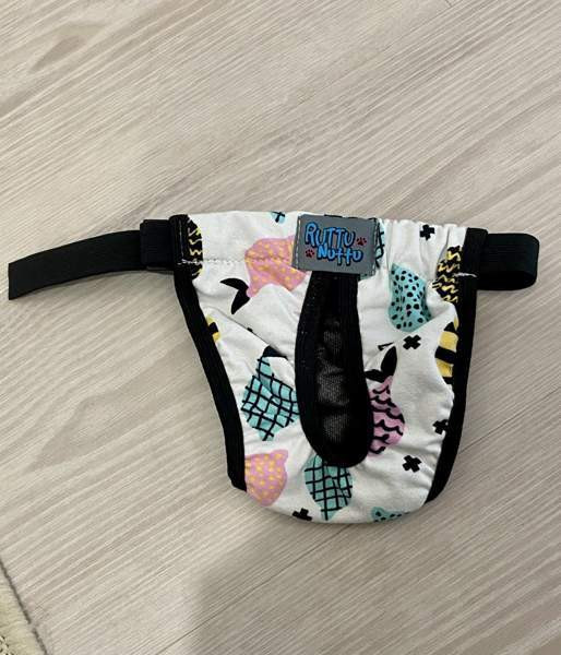 Koiran juoksuhousut Oulu - valokuva 1