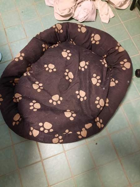 Koiran peti s koko Helsinki – foto 1