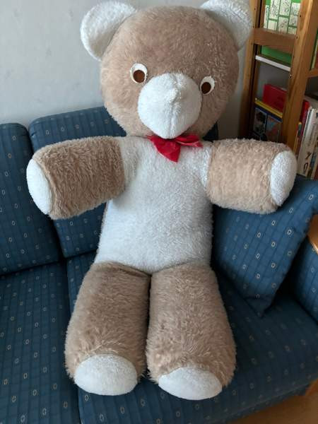 Iso pehmonalle Vaasa - valokuva 1