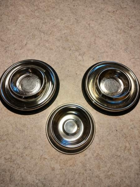 Koiran kupit Lieto - photo 1