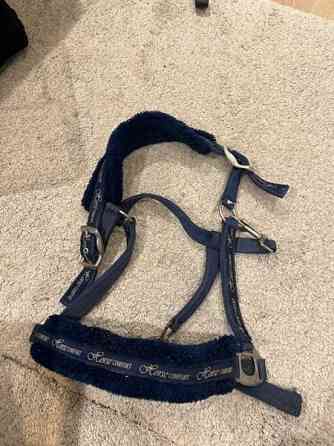 Horse comfort full riimu Jaervenpaeae