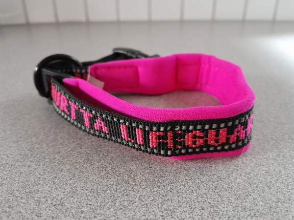 Hurtta Lifeguard koiran kaulapanta Vantaa - photo 1