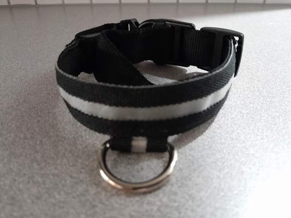 Koiran valopanta Vantaa – foto 1