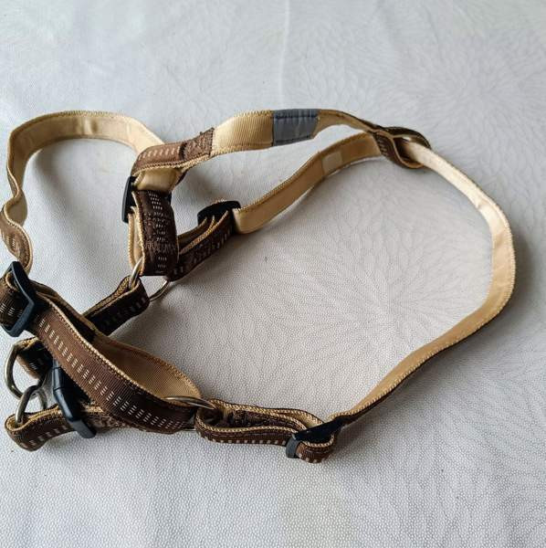 Koiran valjaat Raasepori – foto 6