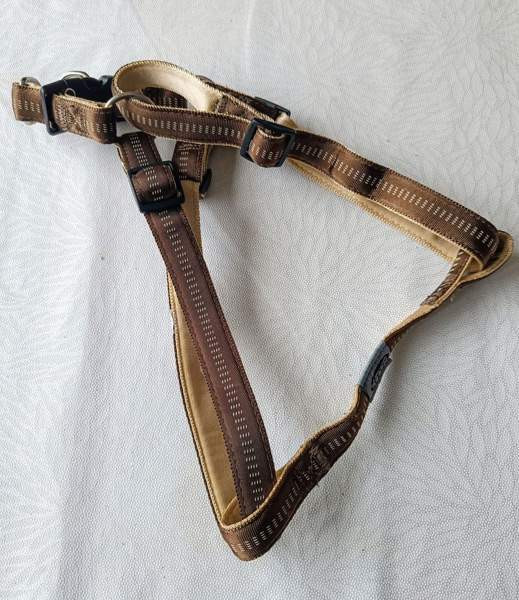 Koiran valjaat Raasepori – foto 1