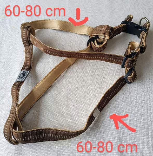 Koiran valjaat Raasepori – foto 3