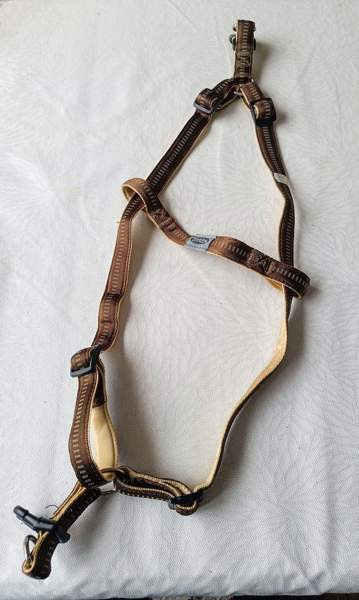 Koiran valjaat Raasepori – foto 5