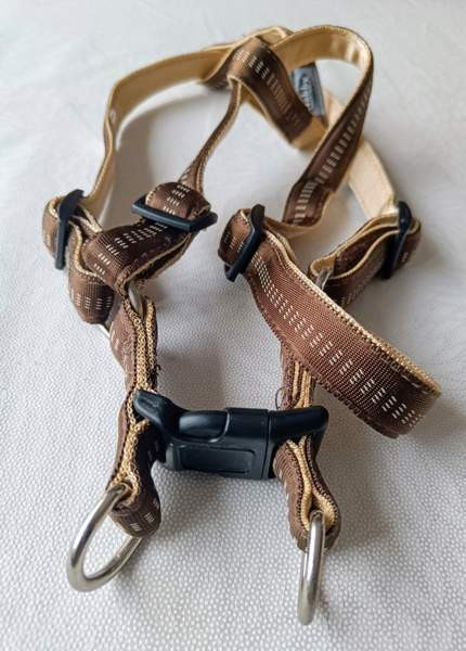 Koiran valjaat Raasepori – foto 2