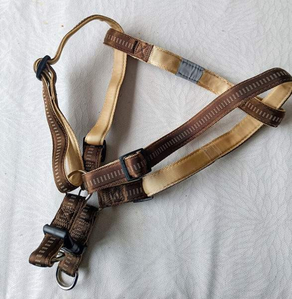Koiran valjaat Raasepori – foto 4