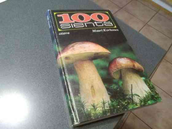 100 sientä Salo