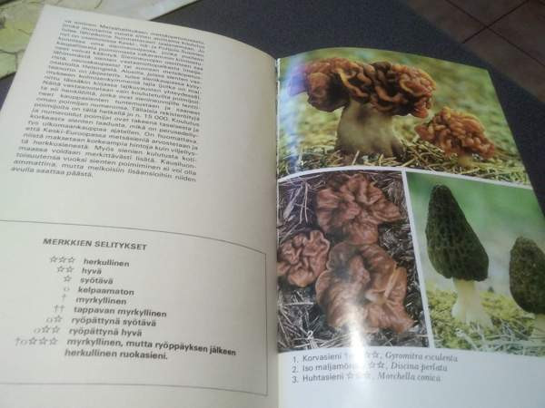 100 sientä Salo – foto 2