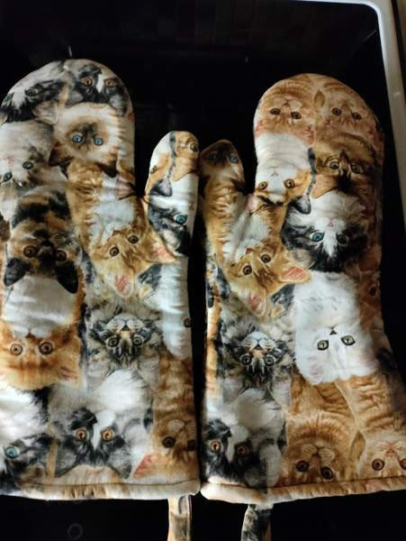 Kissat 2 kpl Kaarina – foto 1