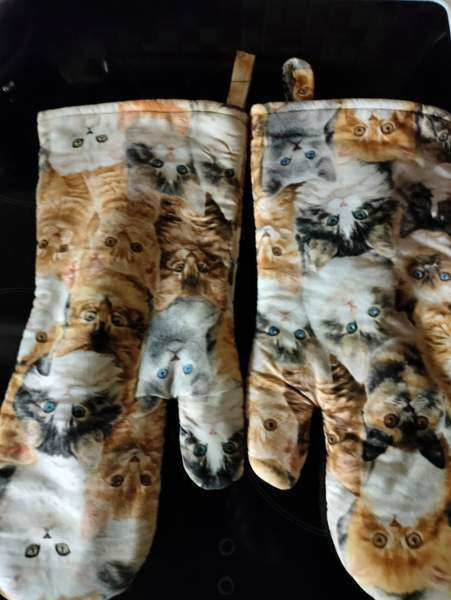 Kissat 2 kpl Kaarina – foto 4