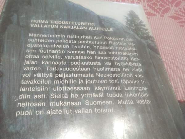 Manu Paajanen: Piru nokkii omansa Salo - valokuva 2