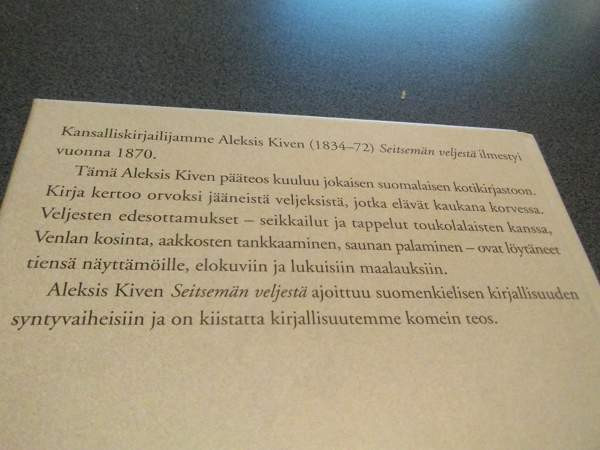 Seitsemän veljestä. Aleksis Kivi Сало - изображение 2