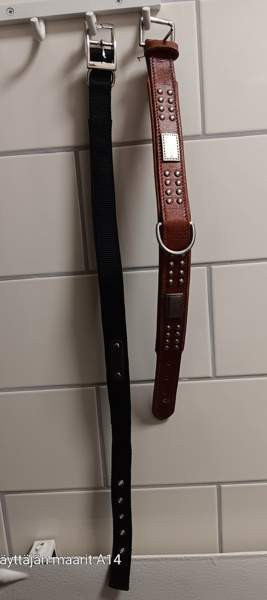 Koiran kaulapannat 2kpl Сейняйоки - изображение 2