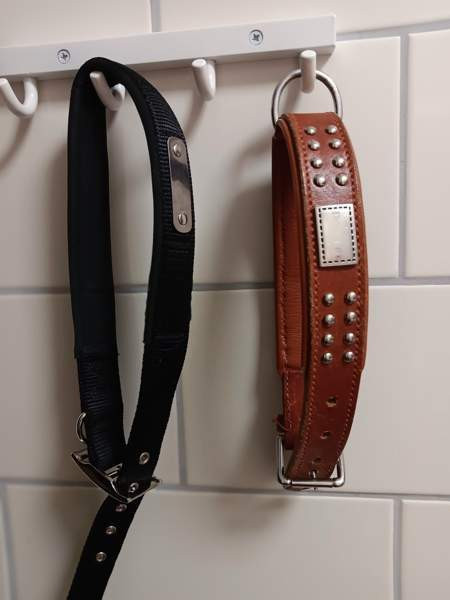 Koiran kaulapannat 2kpl Сейняйоки - изображение 1