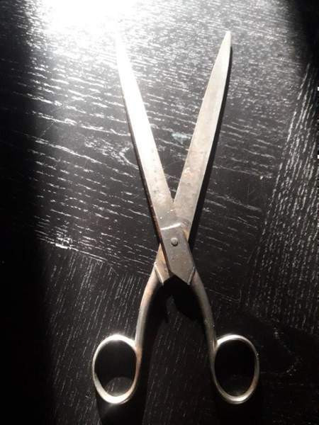 Vanha sakset SCHLOSS (LINNA) Saksa Pituus : 25 cm Vantaa - valokuva 2