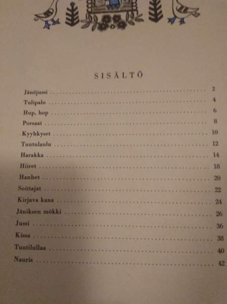 Pyörykkä sadut Kajaani - valokuva 4