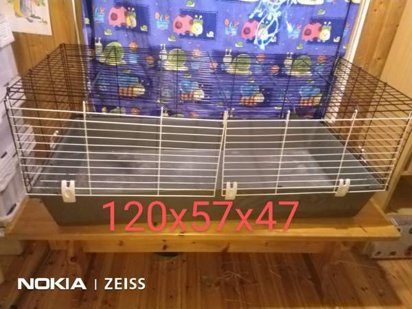 Häkki Alavus - изображение 1