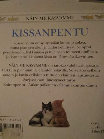 Kissa kirjoja 1 Каяни - изображение 4