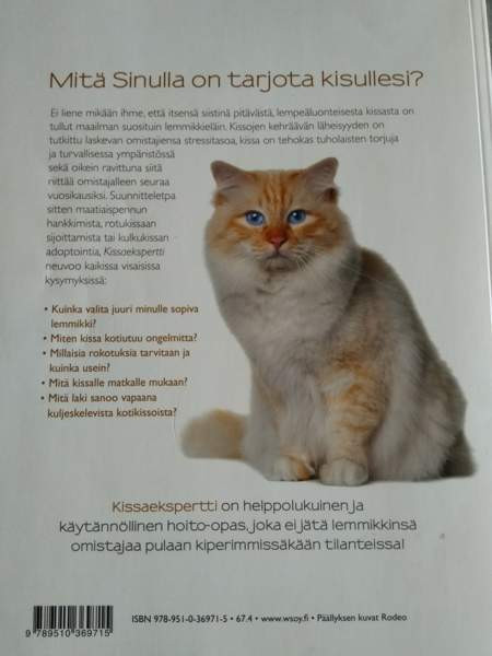 Kissa kirjoja 1 Kajaani - valokuva 8