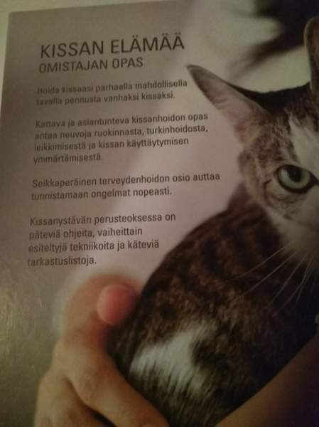 Kissa kirjoja 1 Kajaani - valokuva 2