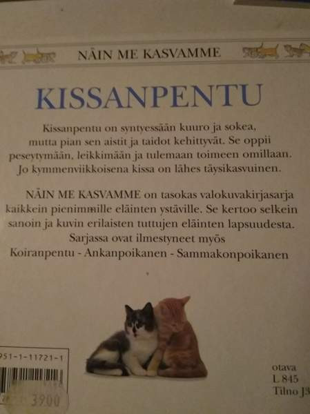 Kissa kirjoja 1 Kajaani - valokuva 4