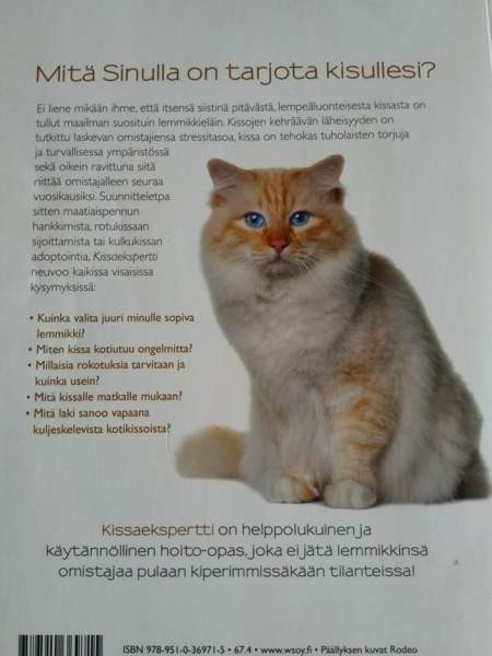 Kissa kirjoja 1 Kajaani - valokuva 6